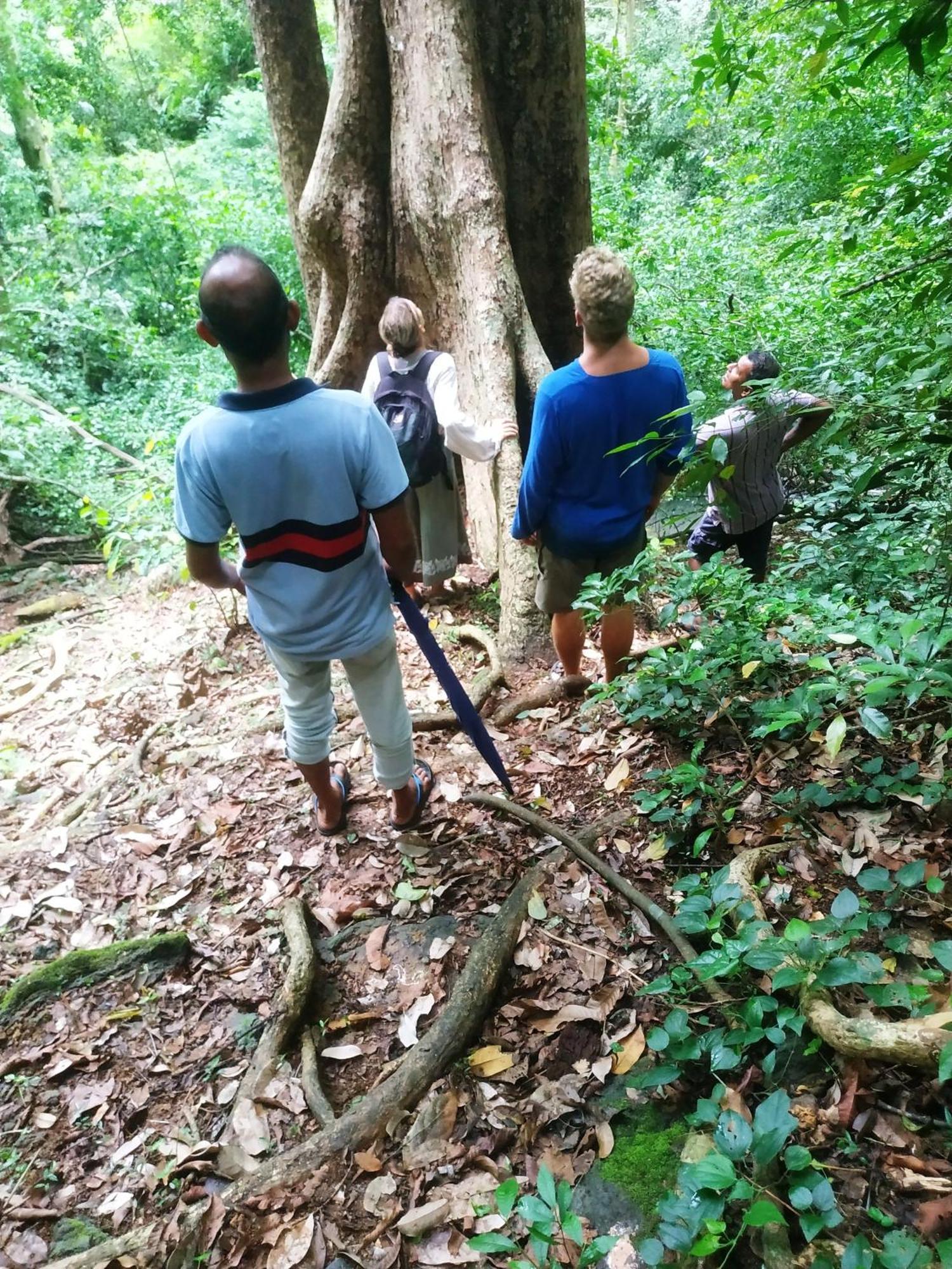 Greenwood Udawalawa Safari Resort Udawalawe Kültér fotó