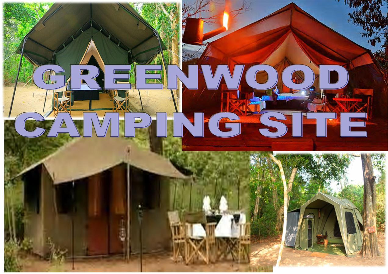 Greenwood Udawalawa Safari Resort Udawalawe Kültér fotó