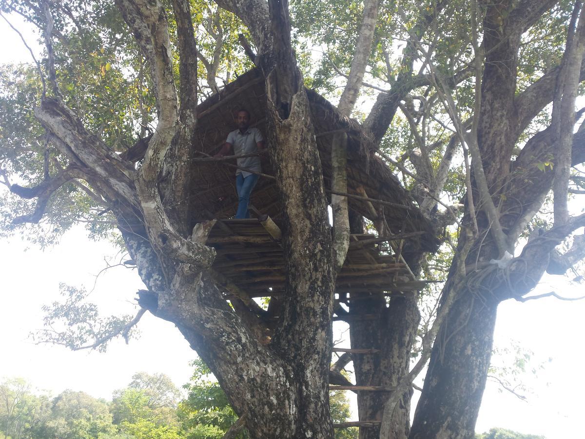 Greenwood Udawalawa Safari Resort Udawalawe Kültér fotó
