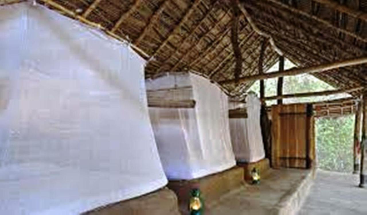 Greenwood Udawalawa Safari Resort Udawalawe Kültér fotó