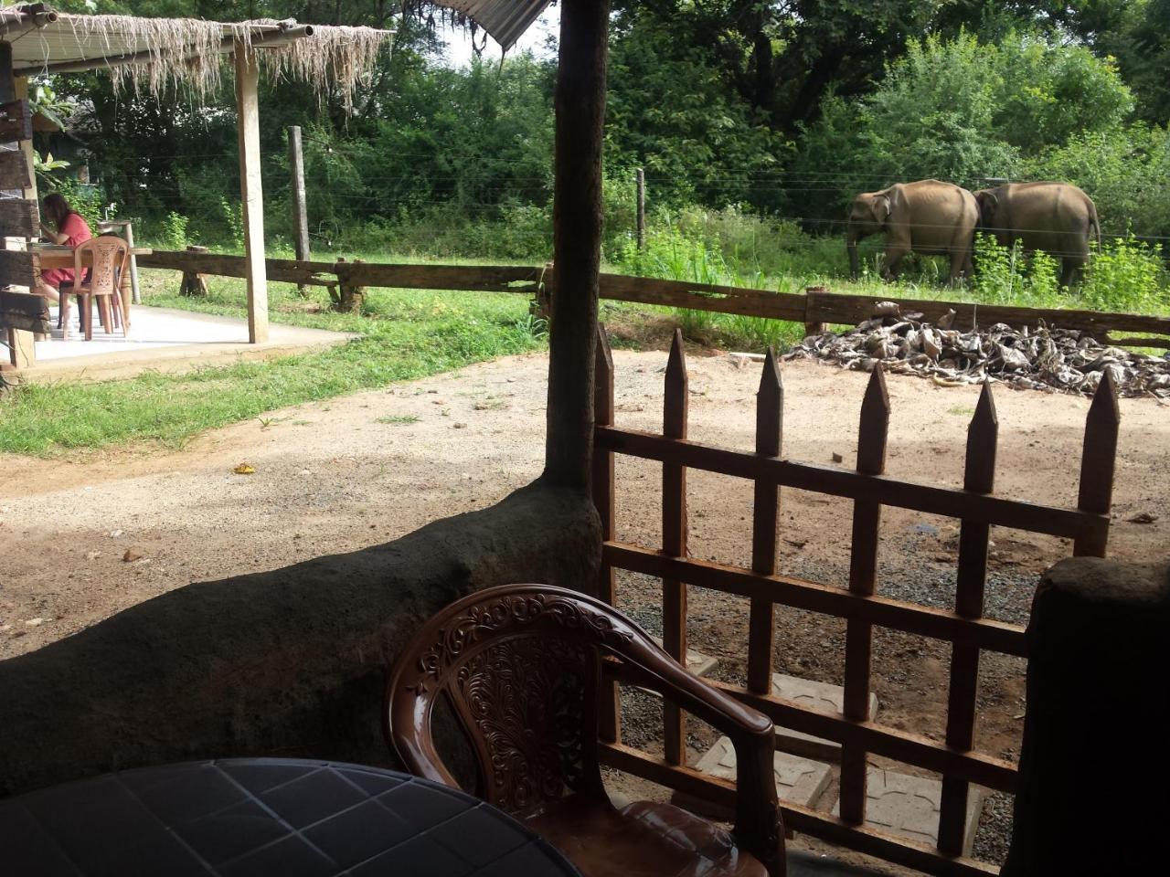 Greenwood Udawalawa Safari Resort Udawalawe Kültér fotó