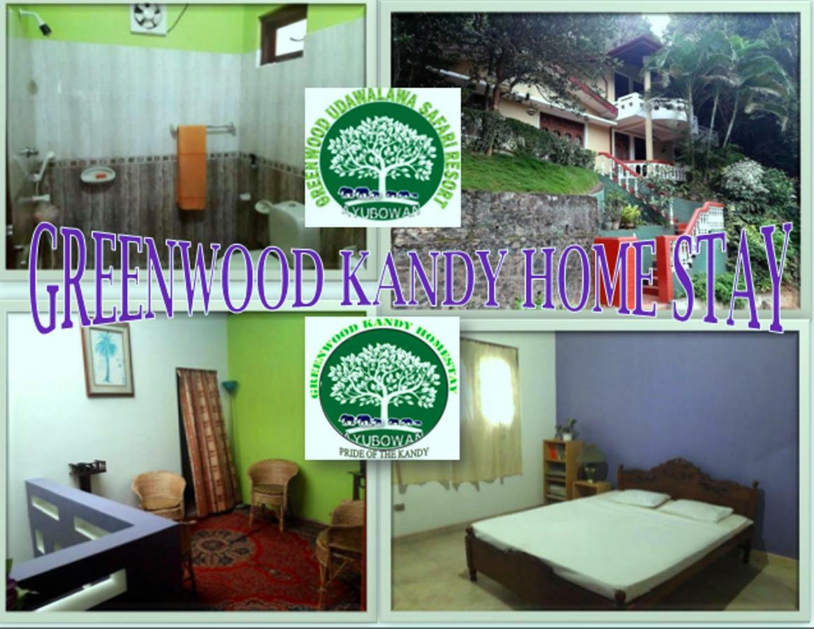 Greenwood Udawalawa Safari Resort Udawalawe Kültér fotó
