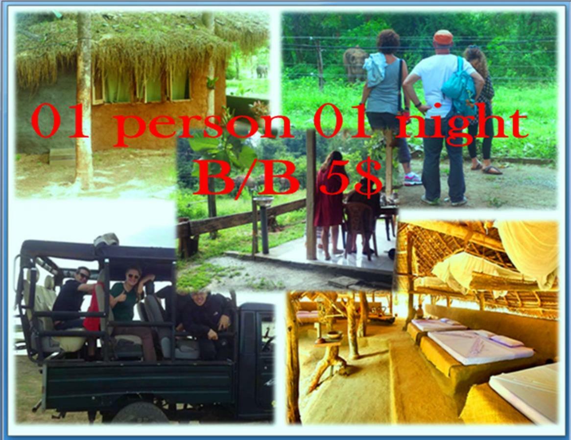 Greenwood Udawalawa Safari Resort Udawalawe Kültér fotó